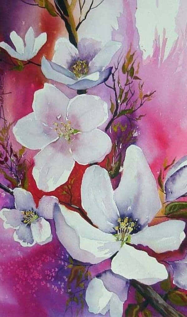 Painting Desktop 桌布 壁紙 — 鮮豔的水彩畫，描繪白色木蘭花，背景為紫色和粉紅色。