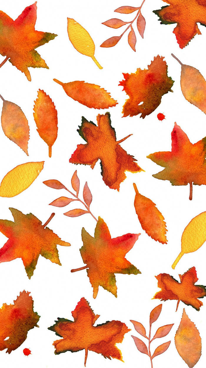 Leaves 桌布 壁紙 — 鮮豔的水彩秋葉以橙色、紅色和黃色散落在潔白的背景上。