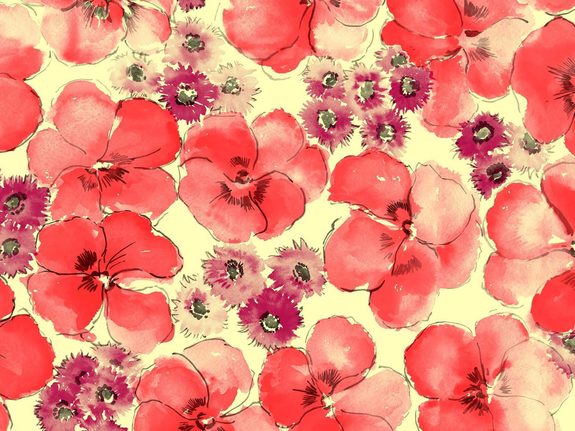Floral Watercolor 桌布 壁紙 — 鮮豔的水彩紅色和洋紅色罌粟花在奶油色背景上以柔軟的筆觸盛開。