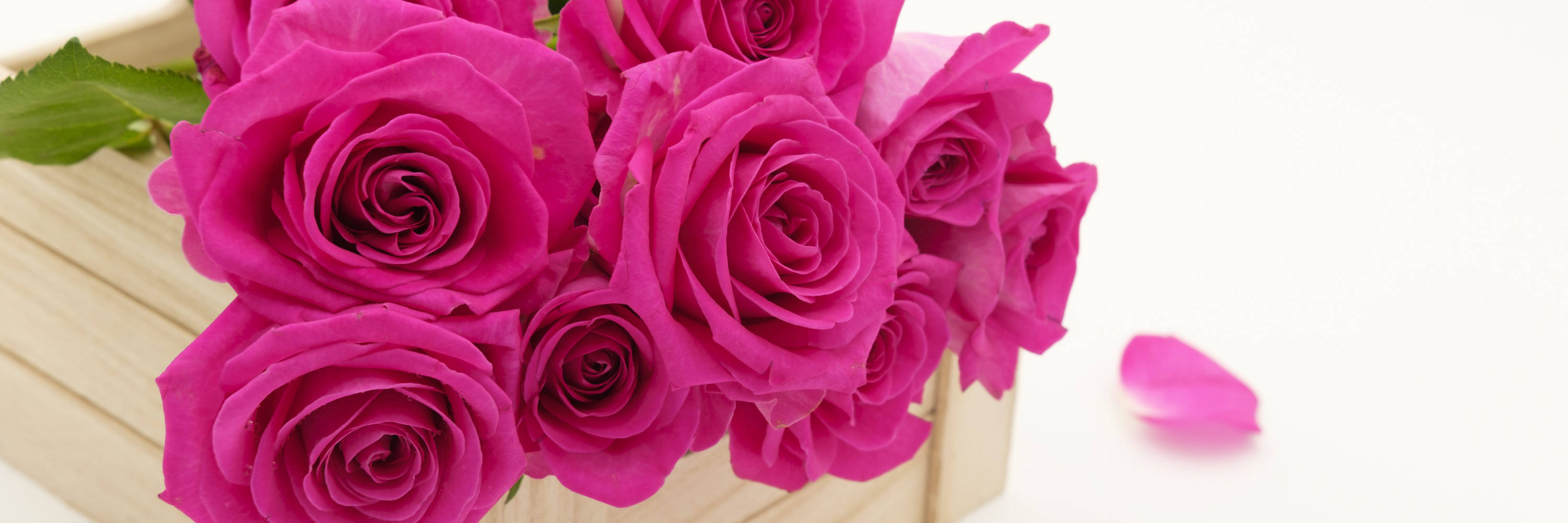 Happy Birthday Flowers 桌布 壁紙 — 鮮豔的洋紅色玫瑰在木盒中盛開，背景為潔淨的白色，附近有一片掉落的花瓣。