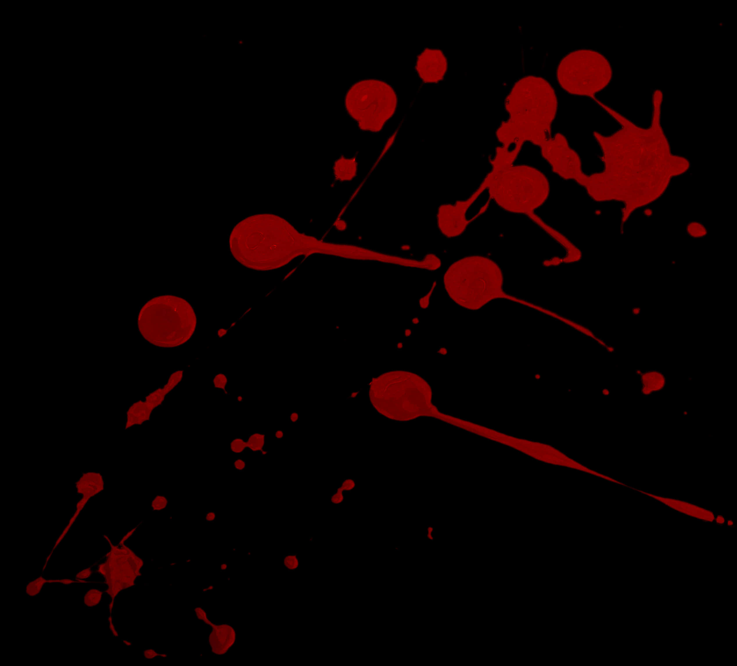 Blood Splatter 桌布 壁紙 — 鮮豔的深紅色血濺在漆黑的畫布上爆裂開來，形成混亂而暴烈的爆發。
