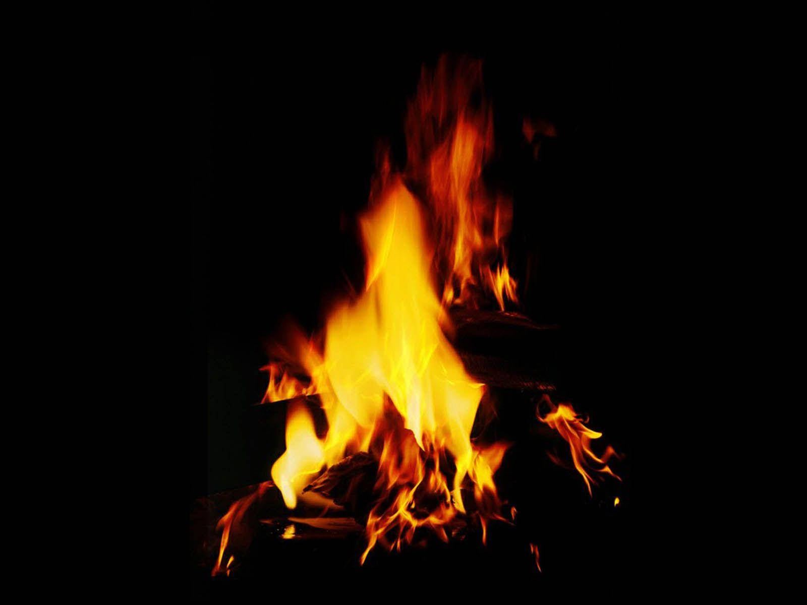 Flame 桌布 壁紙 — 鮮豔的火焰在漆黑的背景中舞動閃爍，將溫暖的金色光芒投射在燒焦的木頭上。