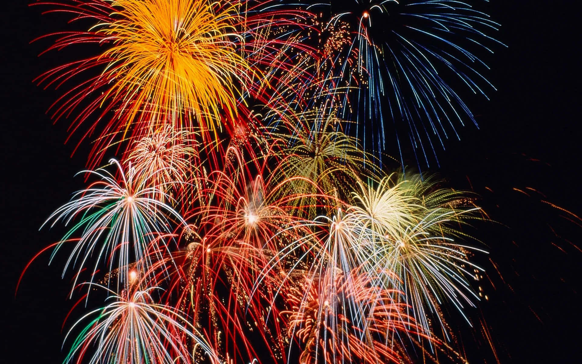Celebration 桌布 壁紙 — 鮮豔的煙火在漆黑的夜空中綻放出紅、橙、黃、綠、藍等耀眼的光芒。