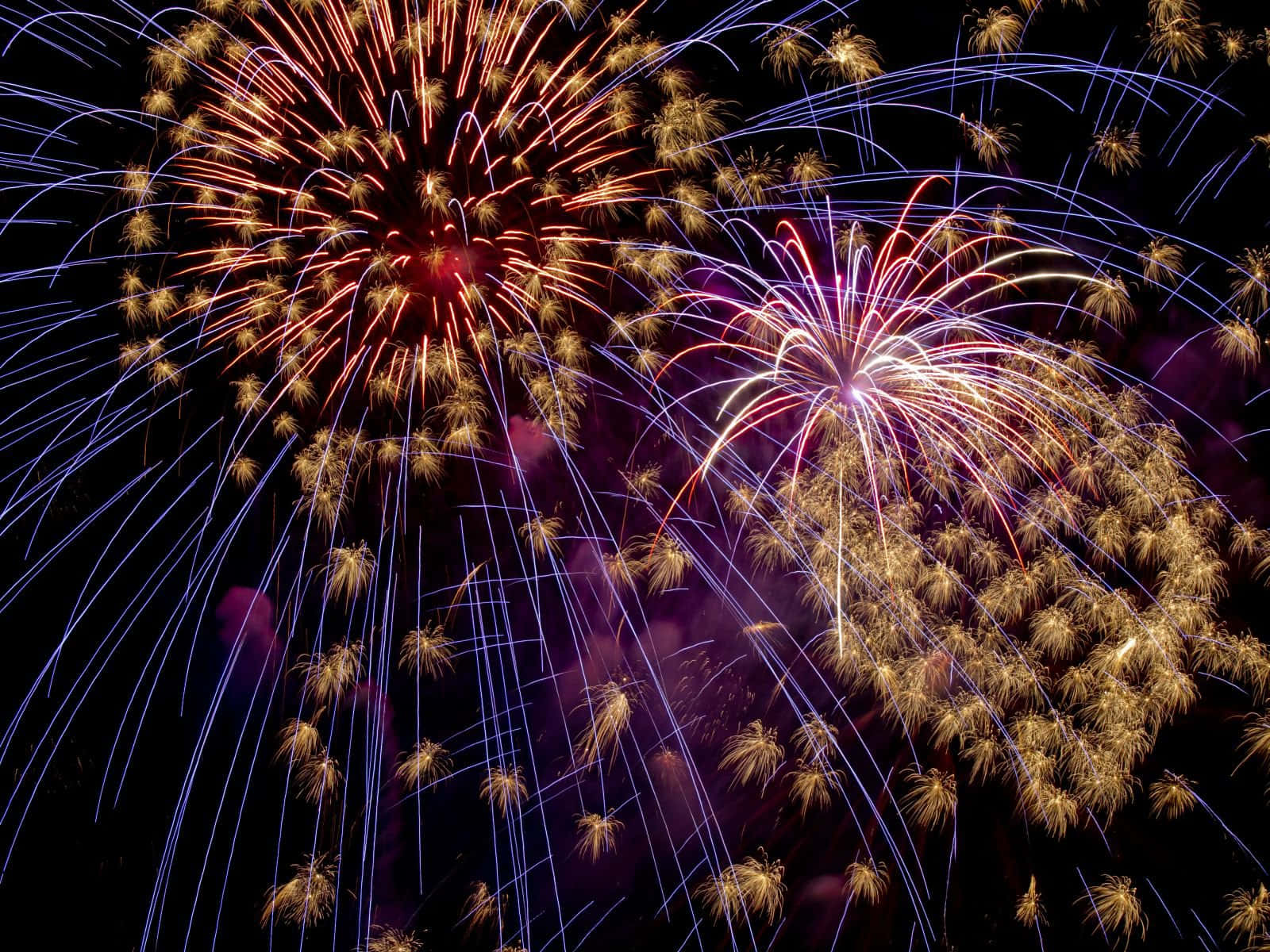 firework 桌布 壁紙 — 鮮豔的煙火在黑暗的夜空中綻放出耀眼的紅色、金色和藍色光芒。