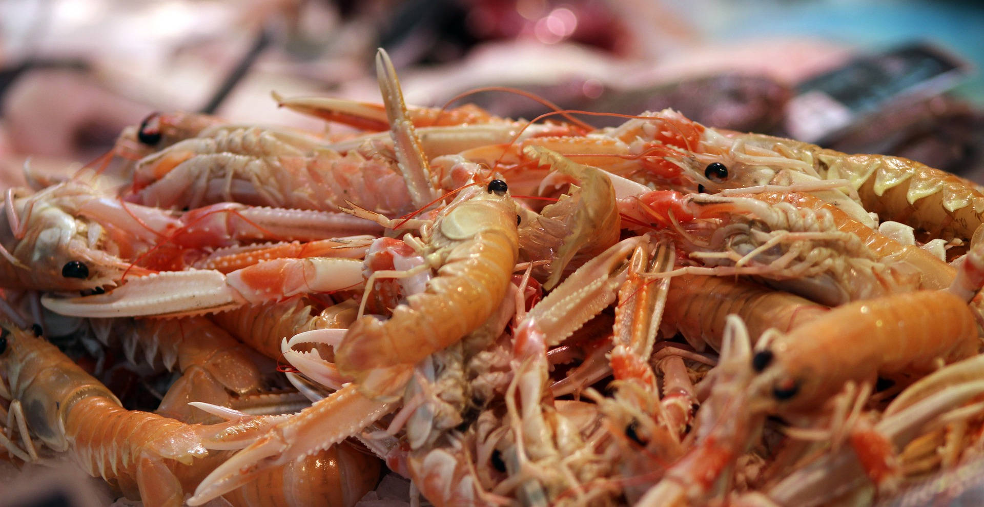 Prawns 桌布 壁紙 — 鮮豔的特寫鏡頭，新鮮生蝦高高堆疊，半透明蝦殼和細膩觸鬚在明亮光線下閃閃發光。