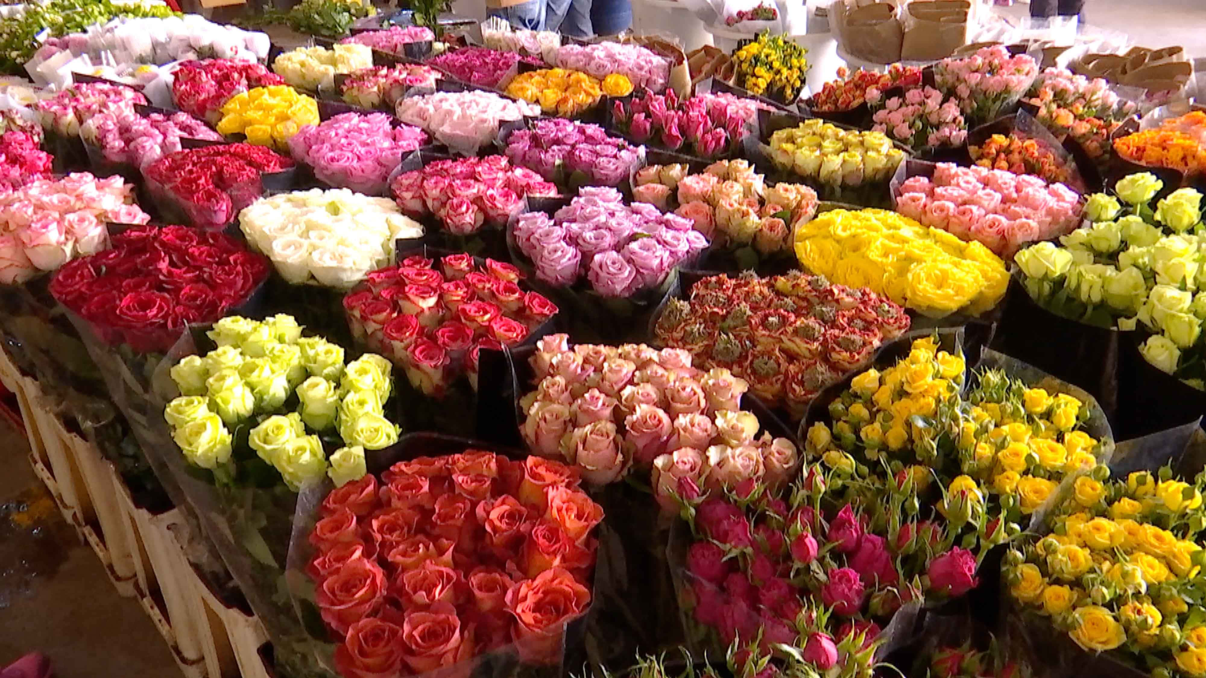 Flower Market 桌布 壁紙 — 鮮豔的玫瑰花束，有紅、粉紅、黃、白色，整齊排列在熱鬧的花市攤位上。