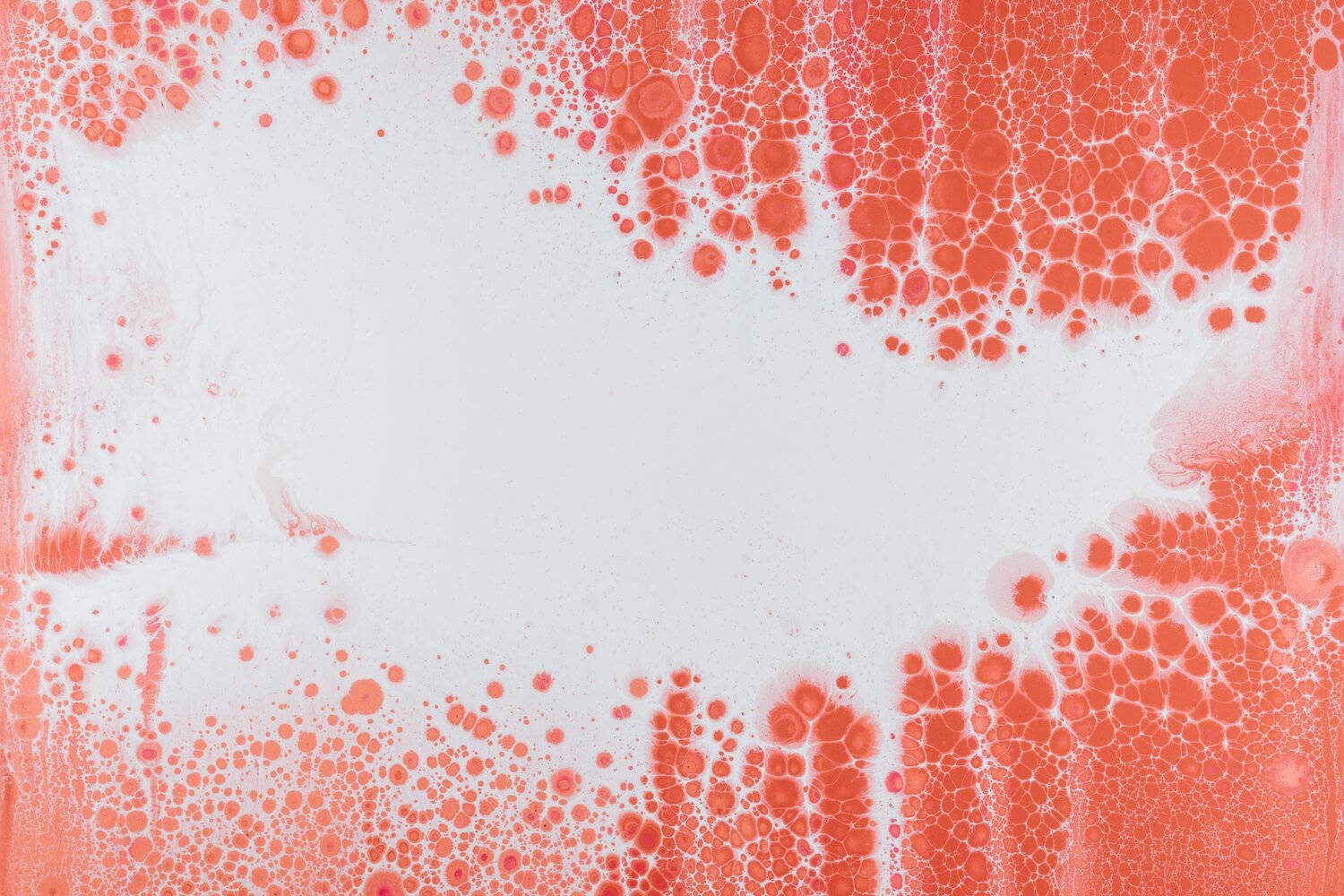Cells 桌布 壁紙 — 鮮豔的珊瑚氣泡沿著純白畫布的邊緣層疊而下，營造出動態的抽象紋理。