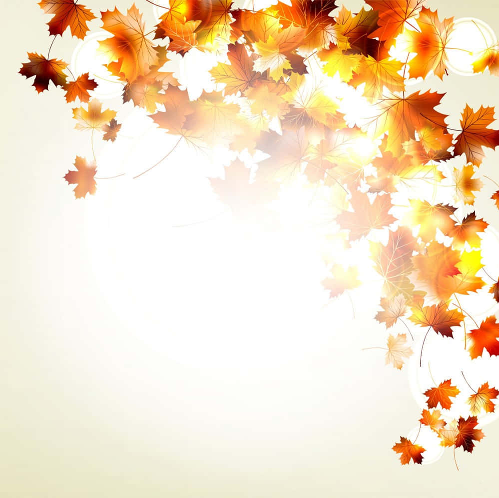 Fall Leaf 桌布 壁紙 — 鮮豔的秋季楓葉以溫暖的橙黃色調，在明亮發光的背景上對角線傾瀉而下。