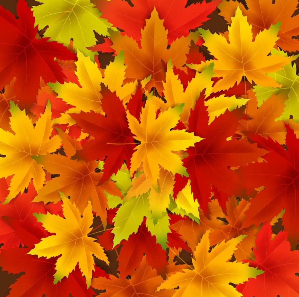 Fall Leaf 桌布 壁紙 — 鮮豔的秋季楓葉以火紅、金黃和橙色交織，形成密集重疊的圖案。