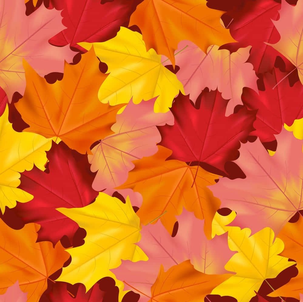 Fall Leaf 桌布 壁紙 — 鮮豔的秋季楓葉以紅色、橙色和黃色在柔和的粉紅色背景上重疊成無縫圖案。