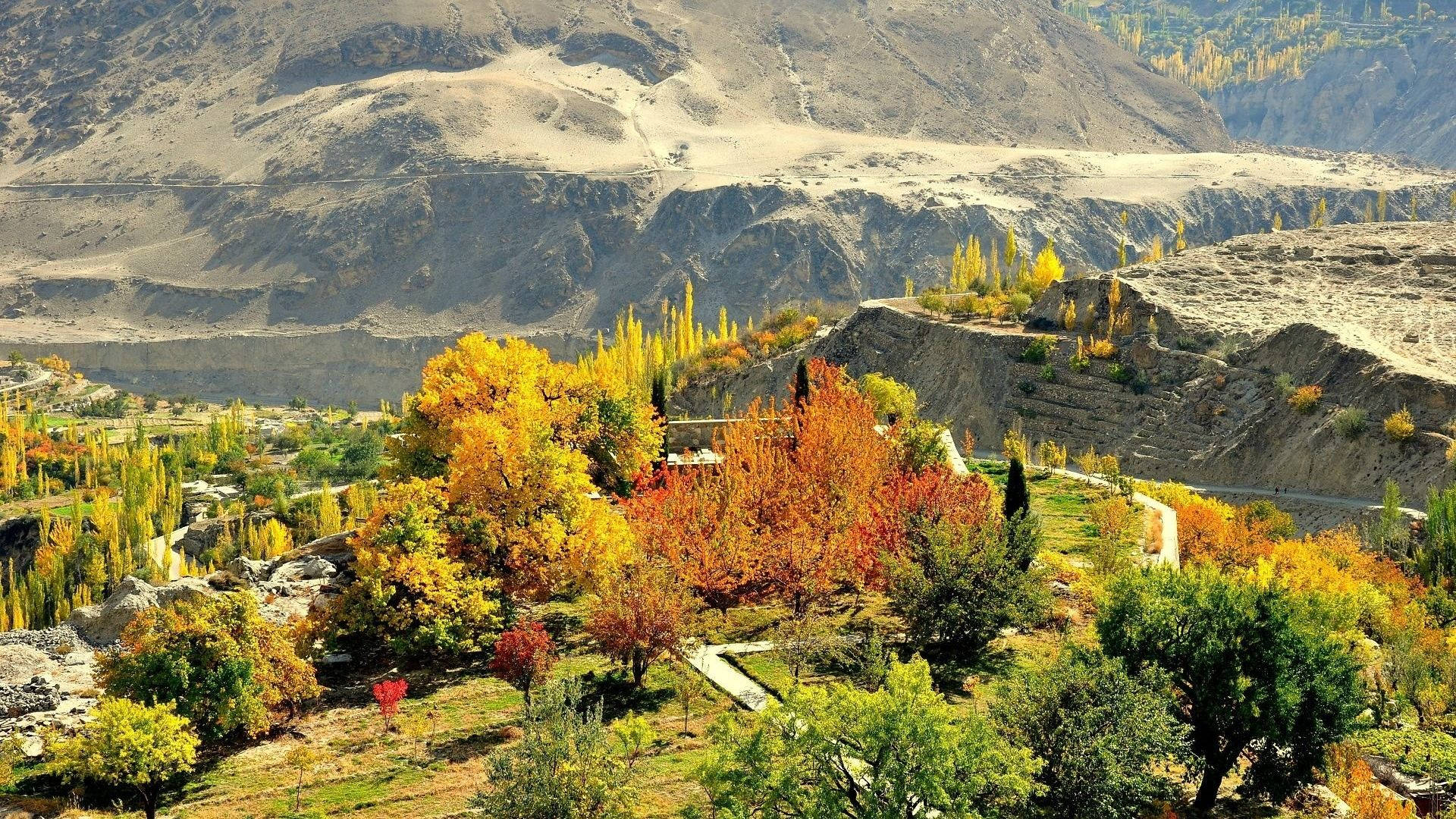 Pakistan 桌布 壁紙 — 鮮豔的秋樹以火熱的黃色和紅色點綴著崎嶇的山谷，在明亮的日光下。