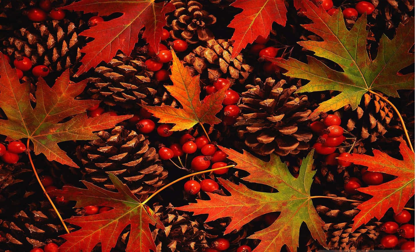 Fall Leaves 桌布 壁紙 — 鮮豔的秋葉、松果和紅色漿果營造出豐富質感的季節性構圖。
