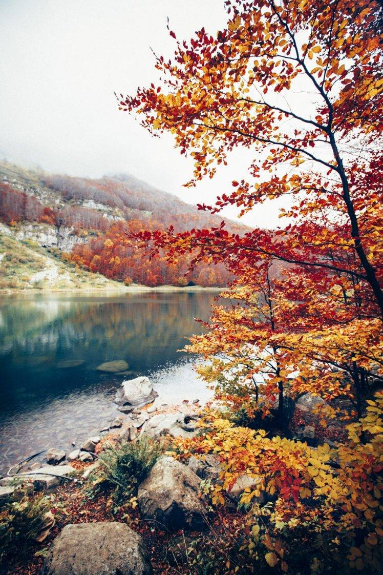 Nature iPhone 桌布 壁紙 — 鮮豔的秋葉以火紅和金色勾勒出一個霧氣瀰漫的湖泊，湖面倒映著陰天下的森林覆蓋的山丘。