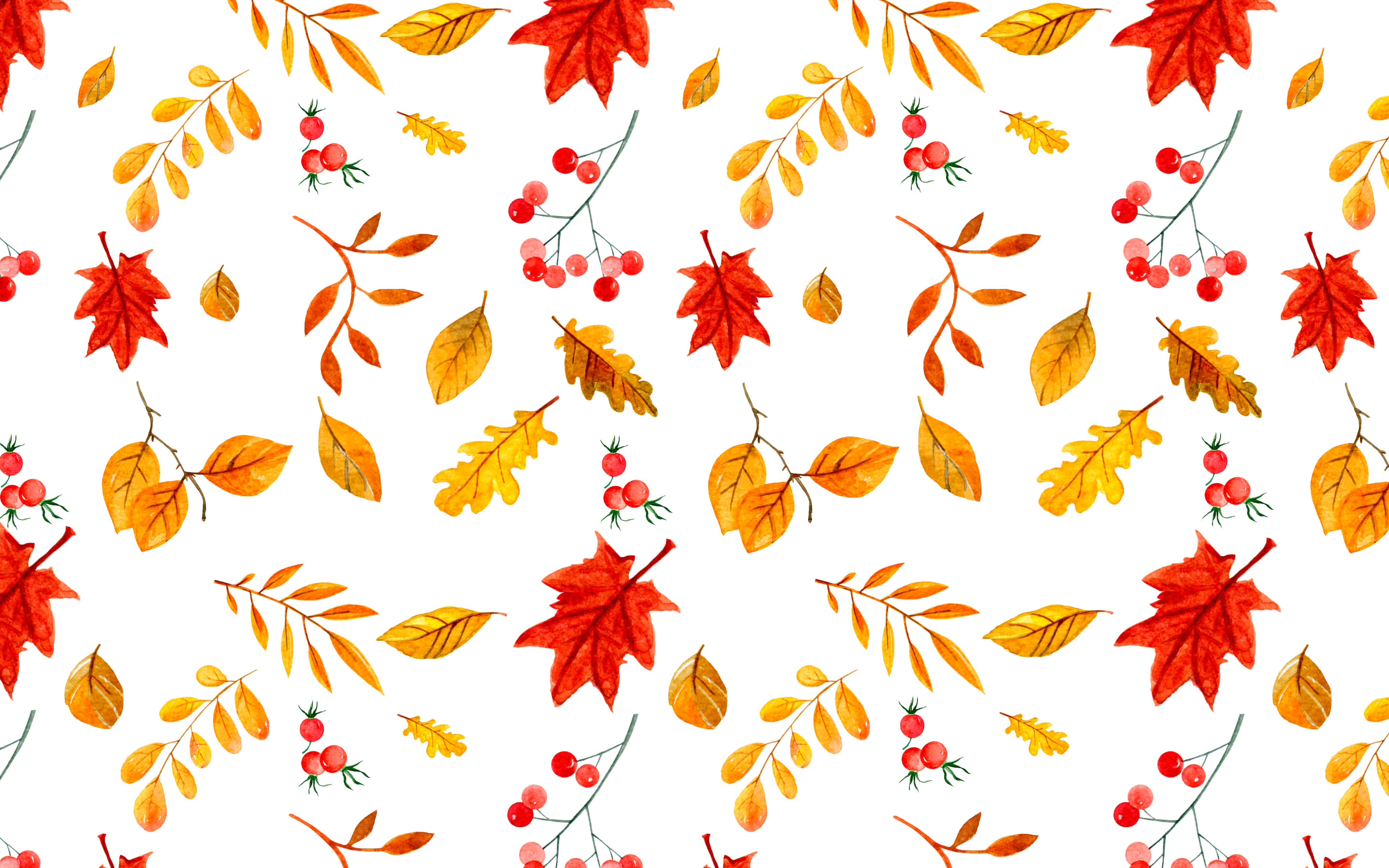 Autumn Foliage 桌布 壁紙 — 鮮豔的秋葉和紅色漿果散落在乾淨的白色背景上，呈現水彩風格。