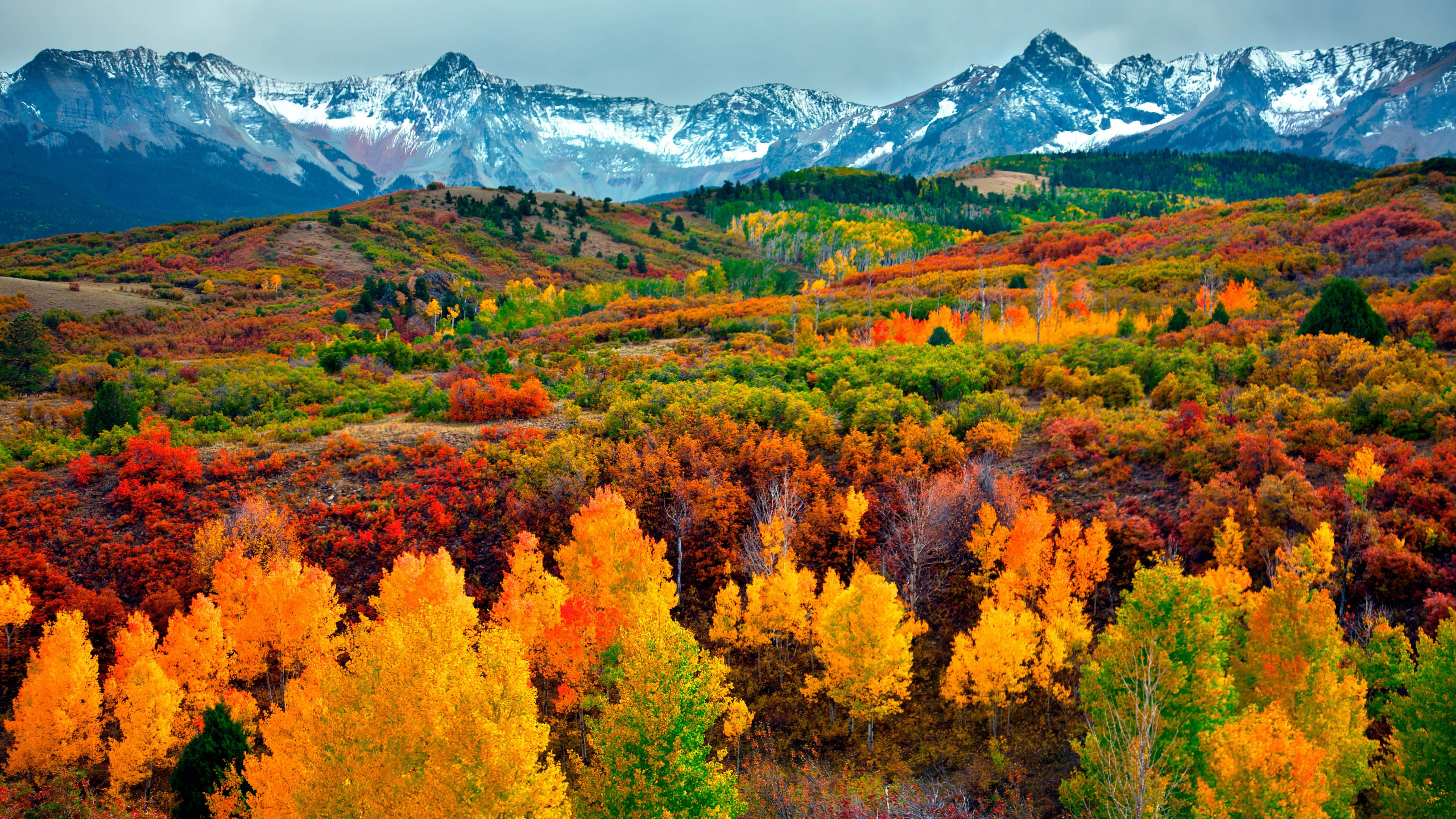 Aspen Colorado 桌布 壁紙 — 鮮豔的秋葉覆蓋著連綿起伏的山丘，山丘下方是白雪覆蓋的山脈，天空多雲。