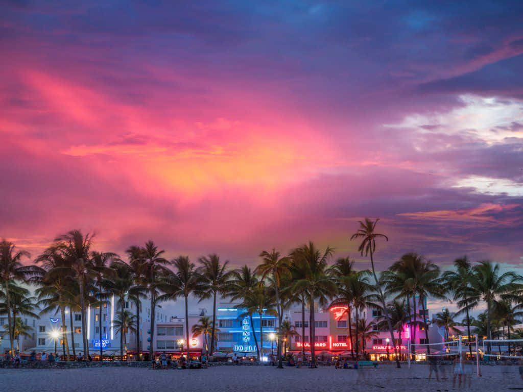 Miami 桌布 壁紙 — 鮮豔的粉紅和紫色日落雲彩在黃昏時分，在裝飾藝術風格的酒店和棕櫚樹沿著熱鬧的海灘上閃耀。