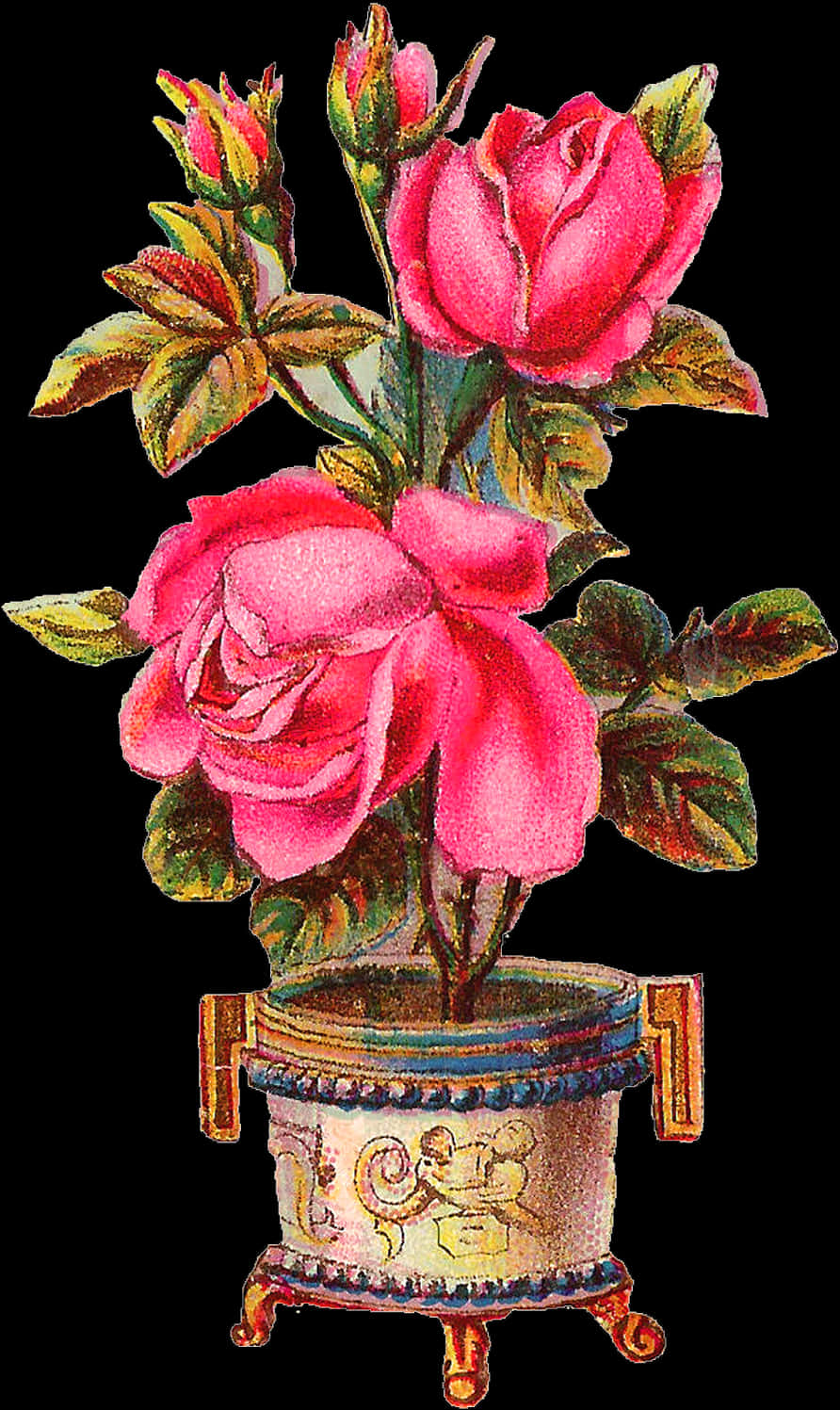 Potted Plant 桌布 壁紙 — 鮮豔的粉紅玫瑰在一個裝飾華麗的復古花瓶裡盛開，花瓶上有精緻的金色和藍色圖案，背景是純黑色。