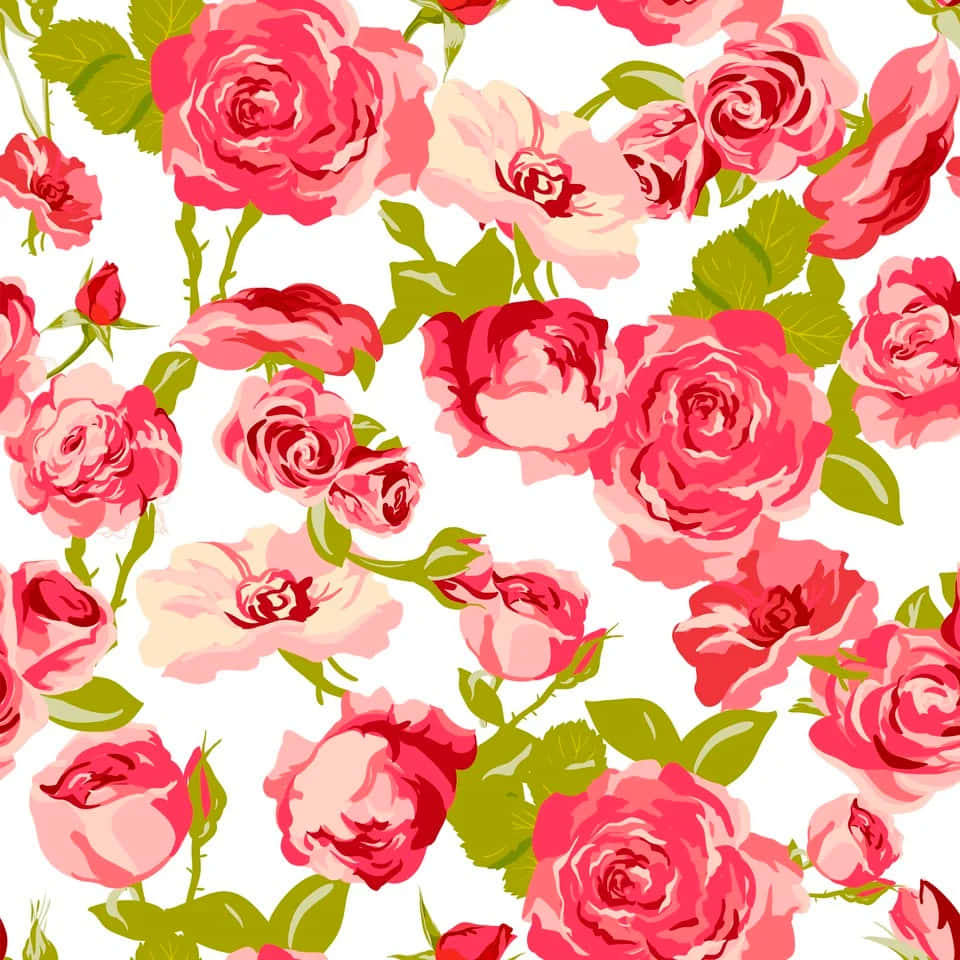 Rose Pattern 桌布 壁紙 — 鮮豔的粉紅玫瑰與綠葉在純白背景上綻放，形成無縫花卉圖案。