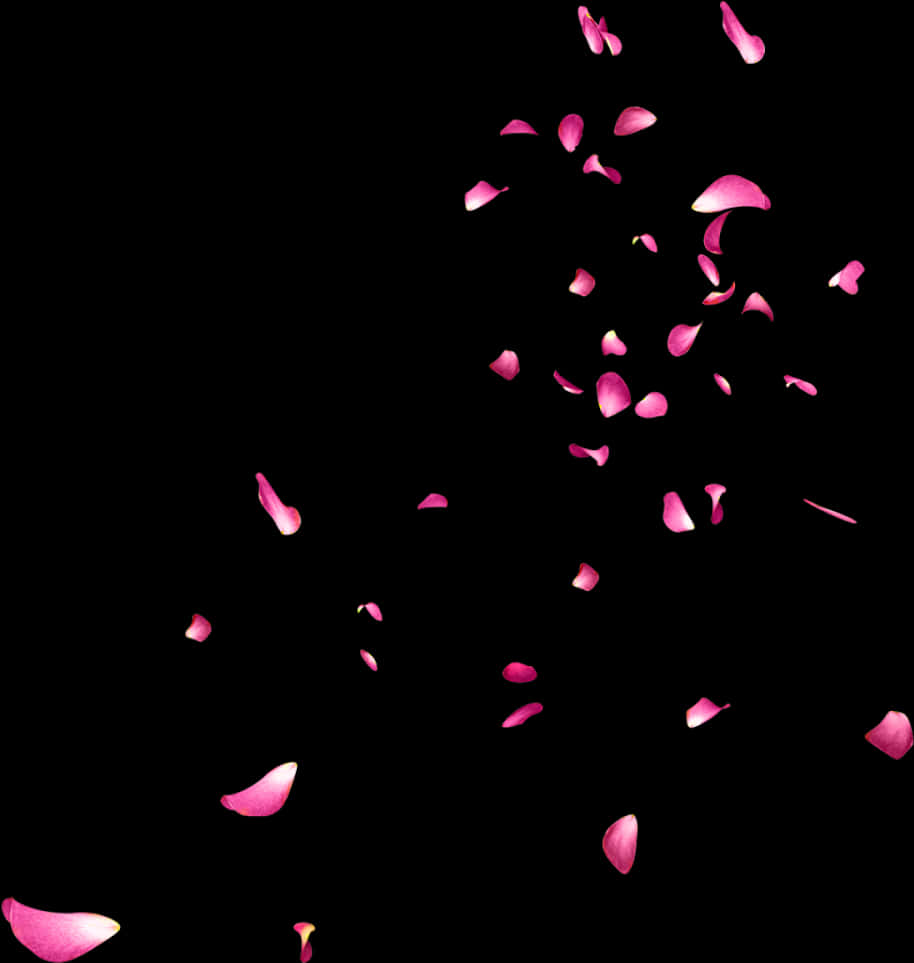 Rose Petals Falling 桌布 壁紙 — 鮮豔的粉紅玫瑰花瓣在純黑虛空中優雅飄落，營造出超現實而優雅的視覺對比。
