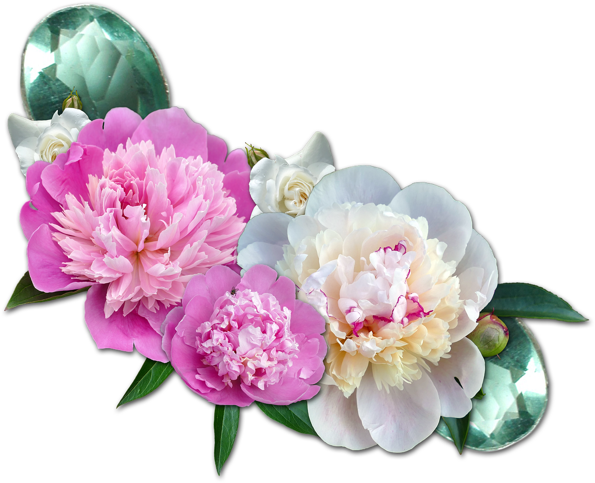 Peony 桌布 壁紙 — 鮮豔的粉紅色和奶油白色牡丹，搭配茂盛的綠葉和刻面青綠水晶，襯托在純黑背景上。