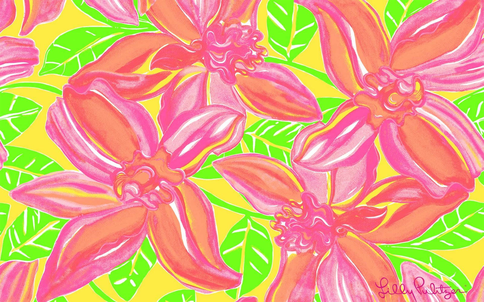 花朵美學動態圖 桌布 壁紙 — 鮮豔的粉紅色和橙色熱帶花卉，搭配萊姆綠葉，在明亮的黃色背景上。