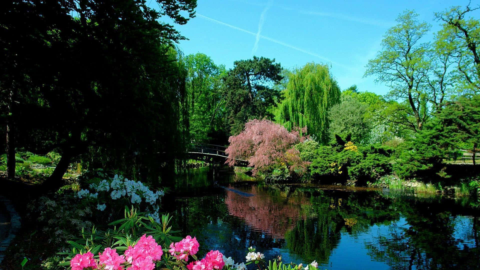 Beautiful Place 桌布 壁紙 — 鮮豔的粉紅色和白色花朵在寧靜的池塘邊盛開，池塘倒映著茂密的綠樹，上方是清澈的藍天。