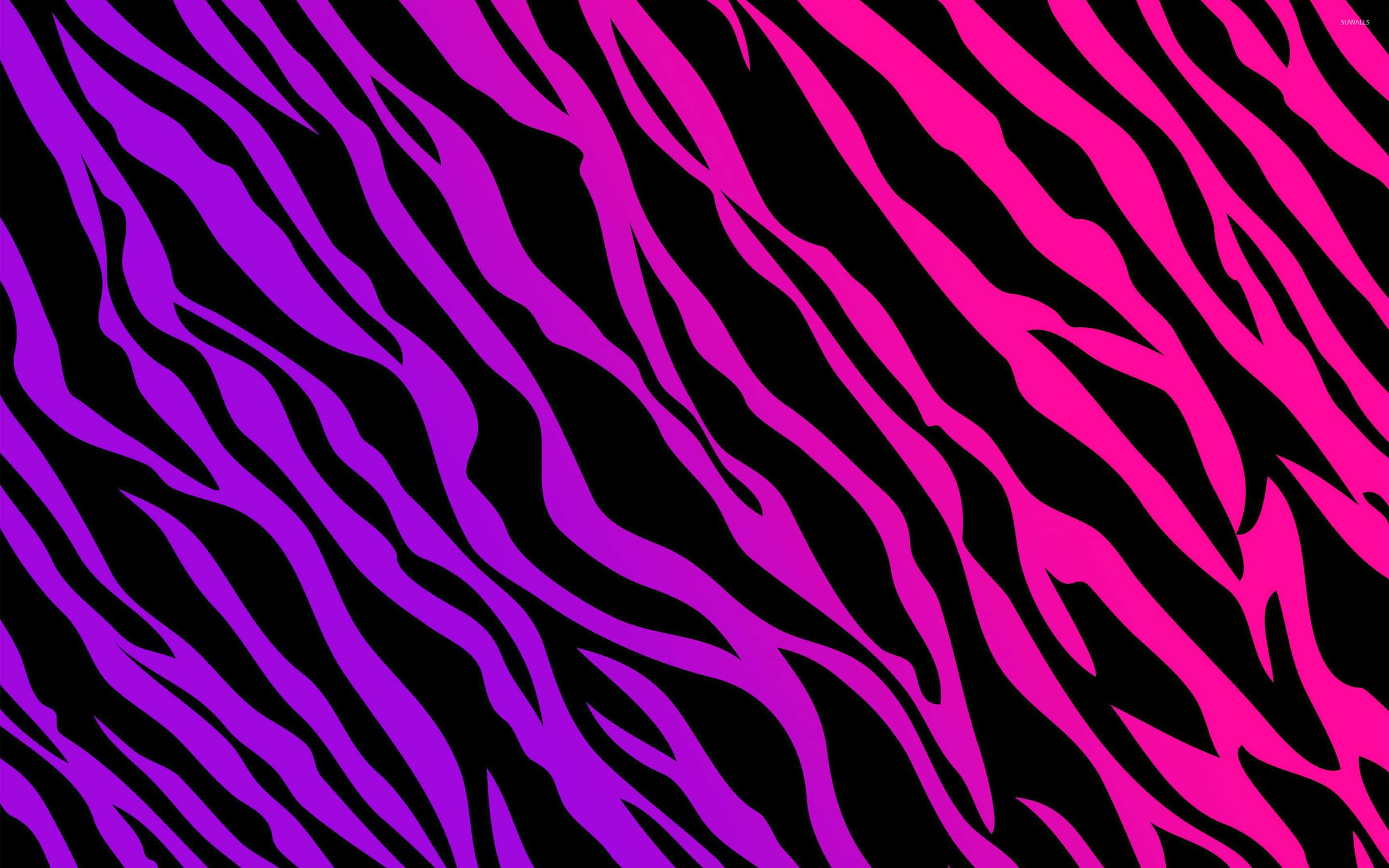 Pink Leopard Print 桌布 壁紙 — 鮮豔的粉紅色和紫色斑馬條紋在純黑色背景上以對角線流動，形成大膽的圖案。