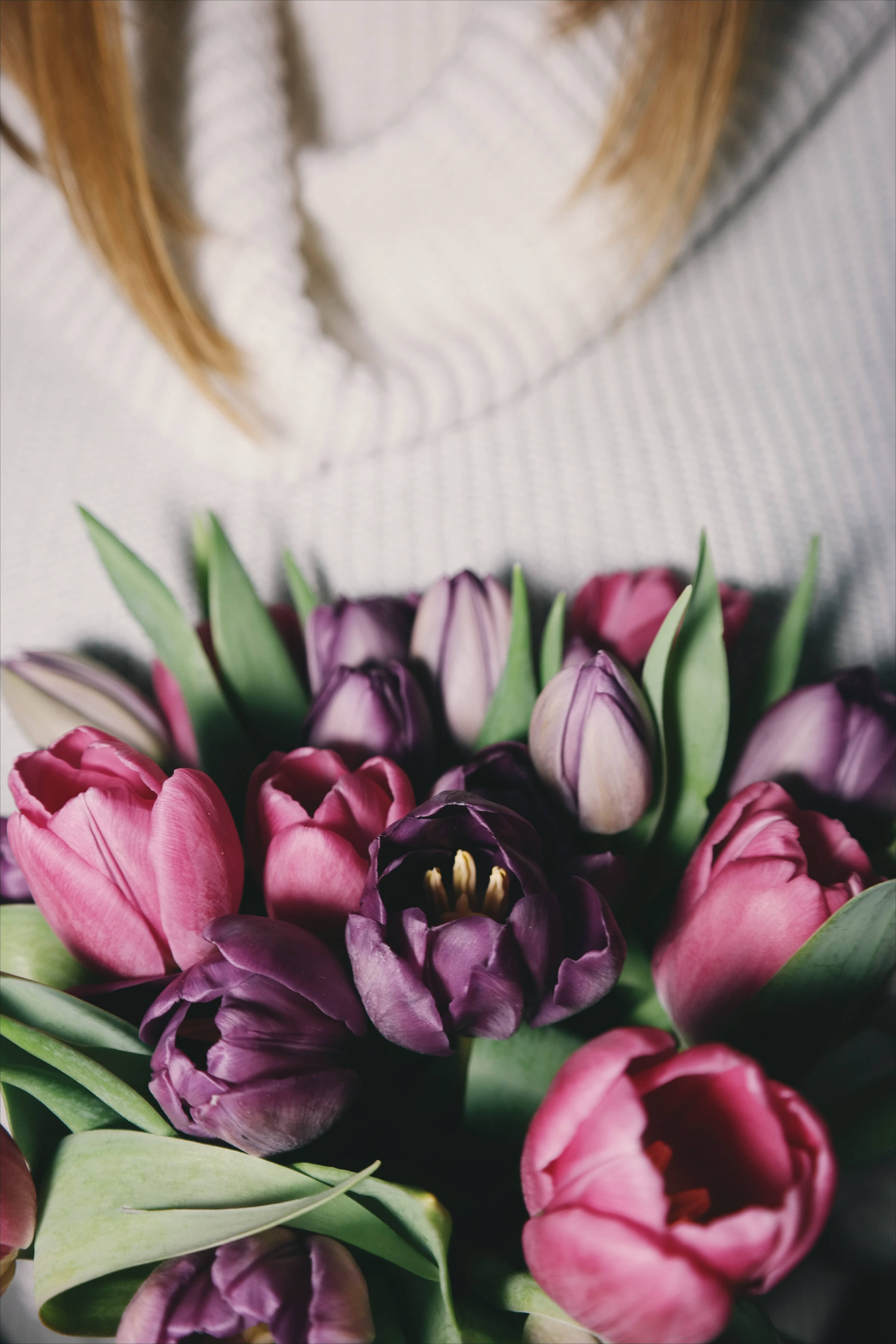 Flowers Aesthetic 桌布 壁紙 — 鮮豔的粉紅色和紫色鬱金香特寫，放在白色羅紋毛衣上，金色頭髮從上方露出。