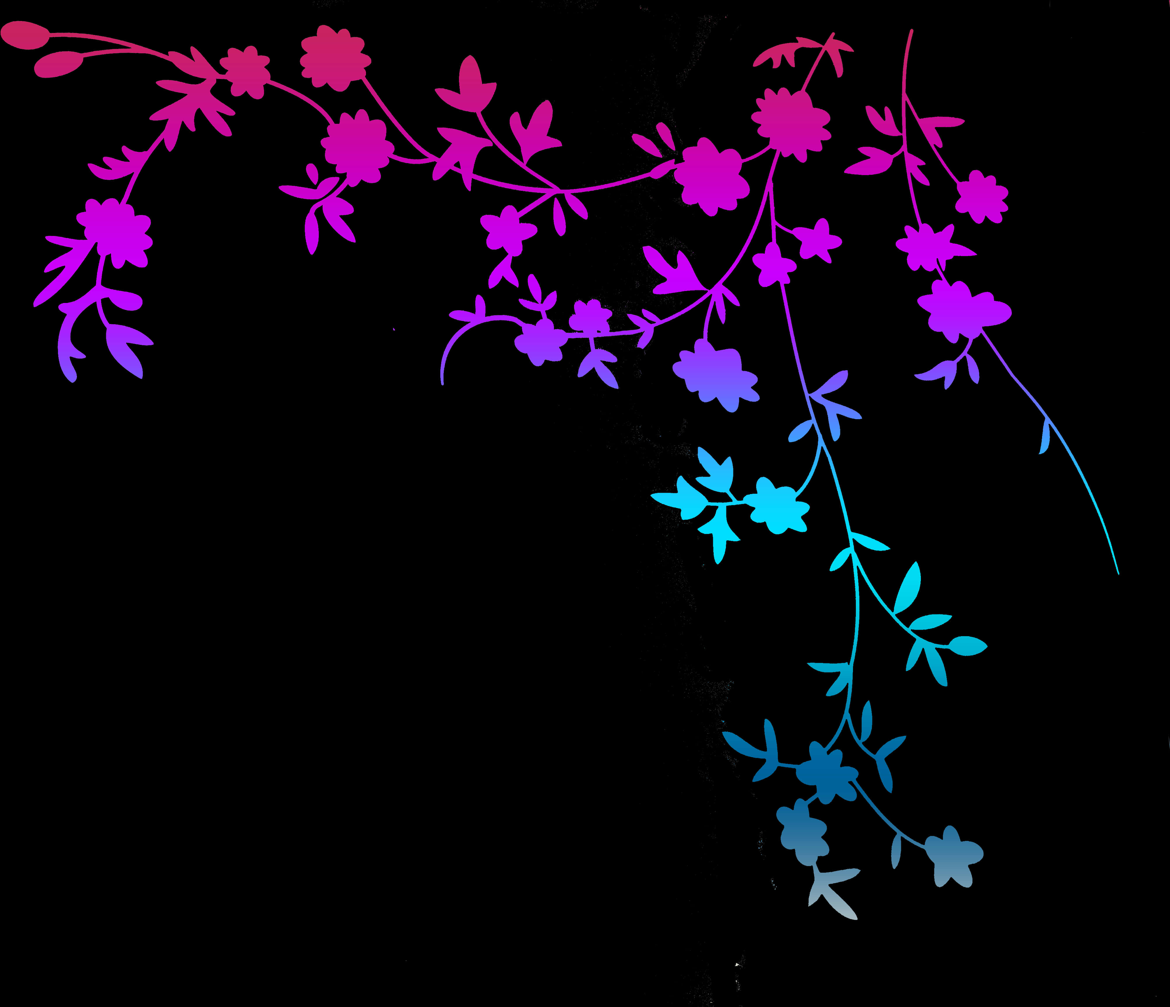 Graphics Design 桌布 壁紙 — 鮮豔的粉紅色和藍色花卉藤蔓在純黑色背景上以對角線方式傾瀉而下，形成風格化的數位插圖。