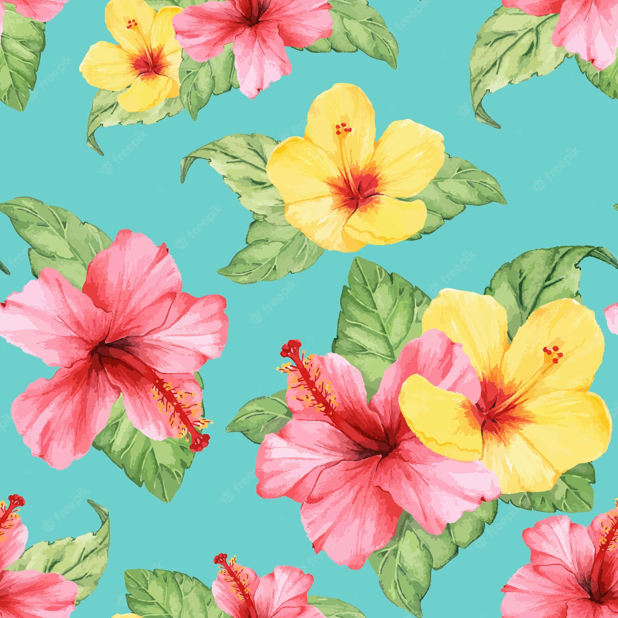 青色GIF 桌布 壁紙 — 鮮豔的粉紅色和黃色芙蓉花與綠色葉子在綠松石色背景上以水彩圖案綻放。
