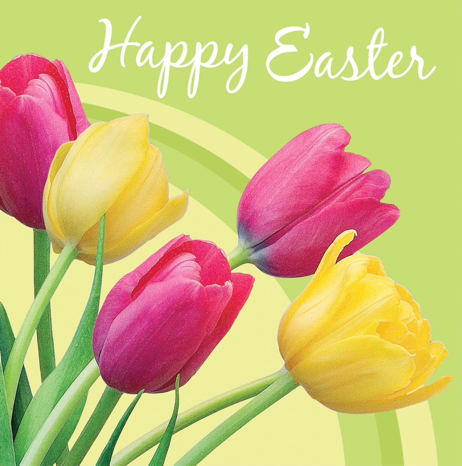 Religious Easter 桌布 壁紙 — 鮮豔的粉紅色和黃色鬱金香在柔和的綠色漸變背景上綻放，並帶有'Happy Easter'文字。