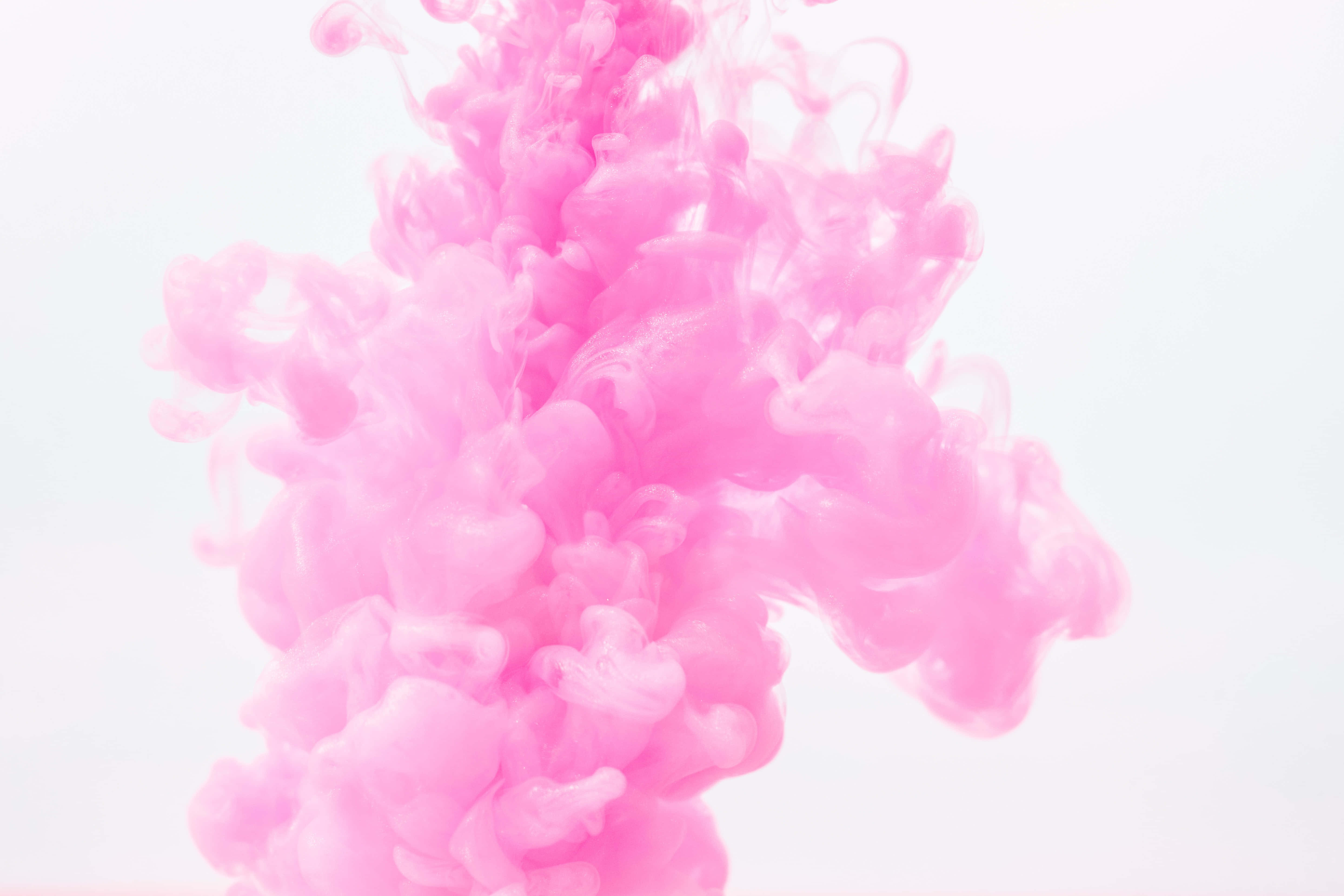 Pink Smoke 桌布 壁紙 — 鮮豔的粉紅色墨水在柔和的白色背景上優雅地旋轉，形成迷人的流體舞蹈。
