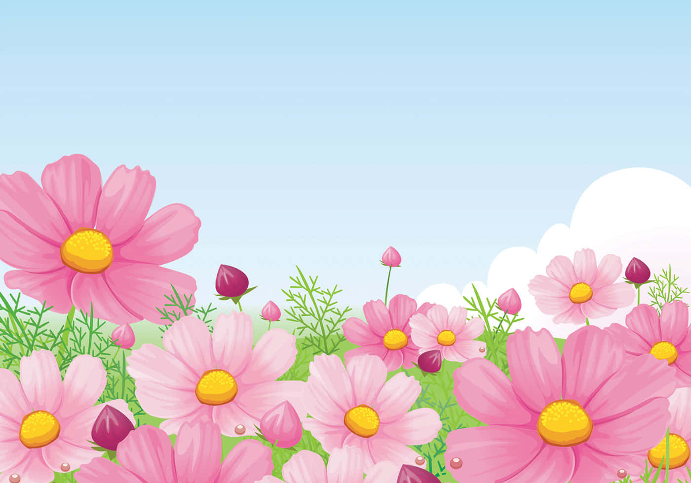 Daisy 桌布 壁紙 — 鮮豔的粉紅色大波斯菊帶有黃色中心，在陽光明媚的田野中盛開，背景是清澈的藍天和蓬鬆的白雲。