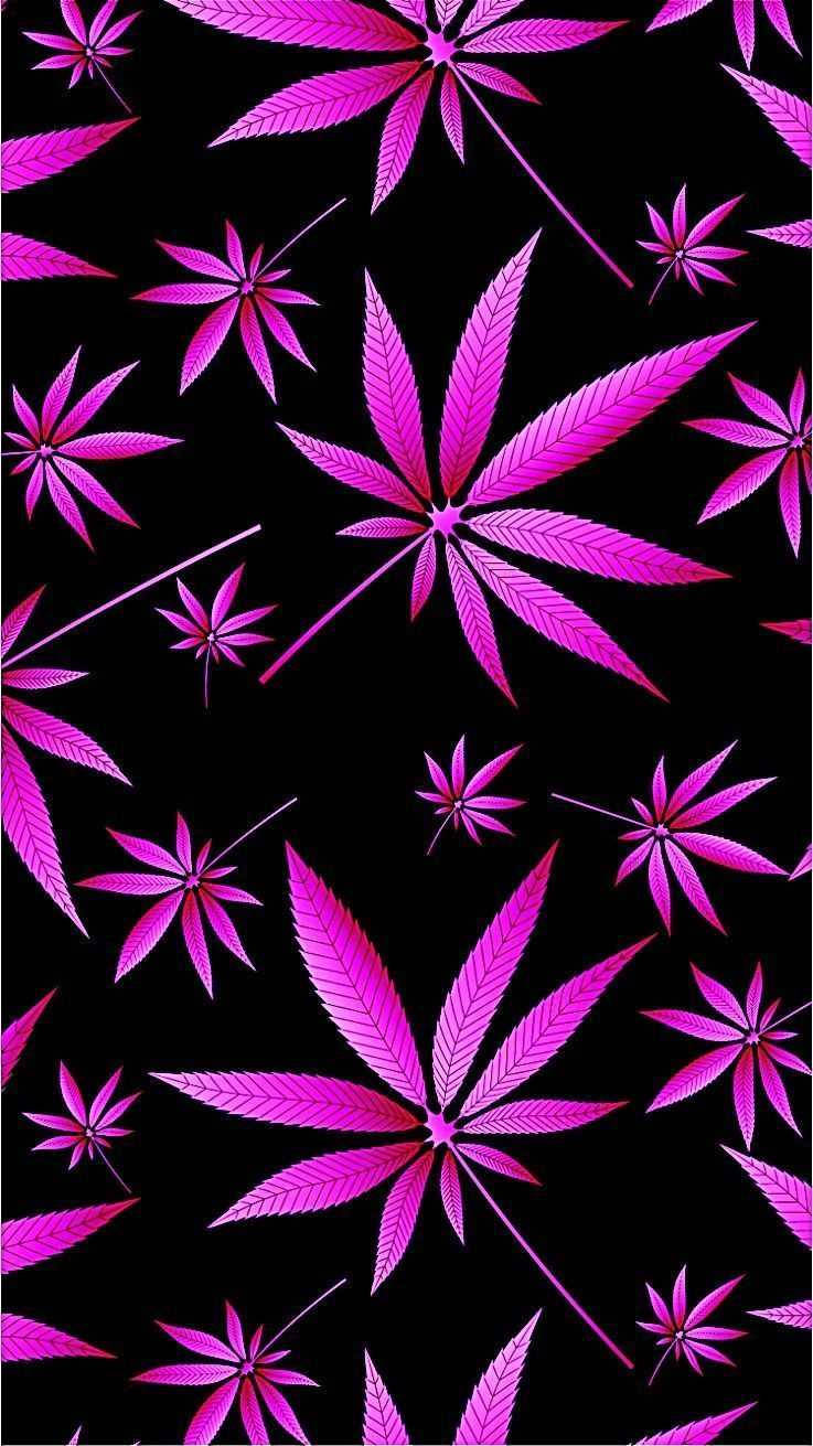 酷炫大麻 桌布 壁紙 — 鮮豔的粉紅色大麻葉在純黑色背景上漂浮，形成重複的數位圖案。