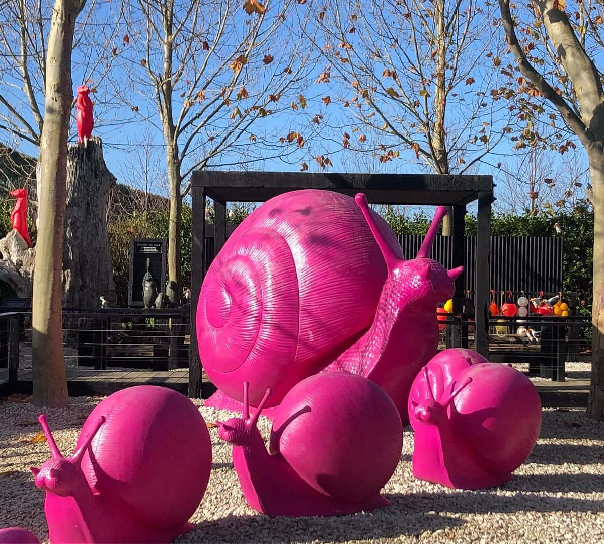 Pink Snail 桌布 壁紙 — 鮮豔的粉紅色巨型蝸牛雕塑放在礫石上，背景是晴朗的藍天和光禿禿的樹木。