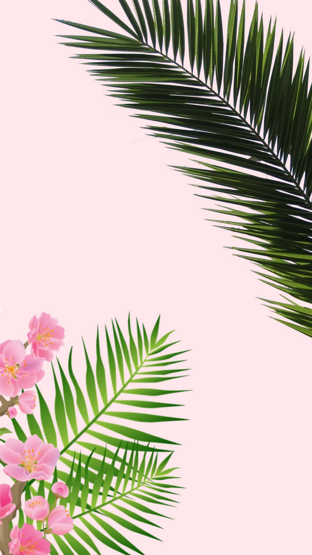 Tropical Aesthetic 桌布 壁紙 — 鮮豔的粉紅色櫻花和茂密的綠色棕櫚葉在極簡熱帶構圖中框出柔和的粉紅色背景。