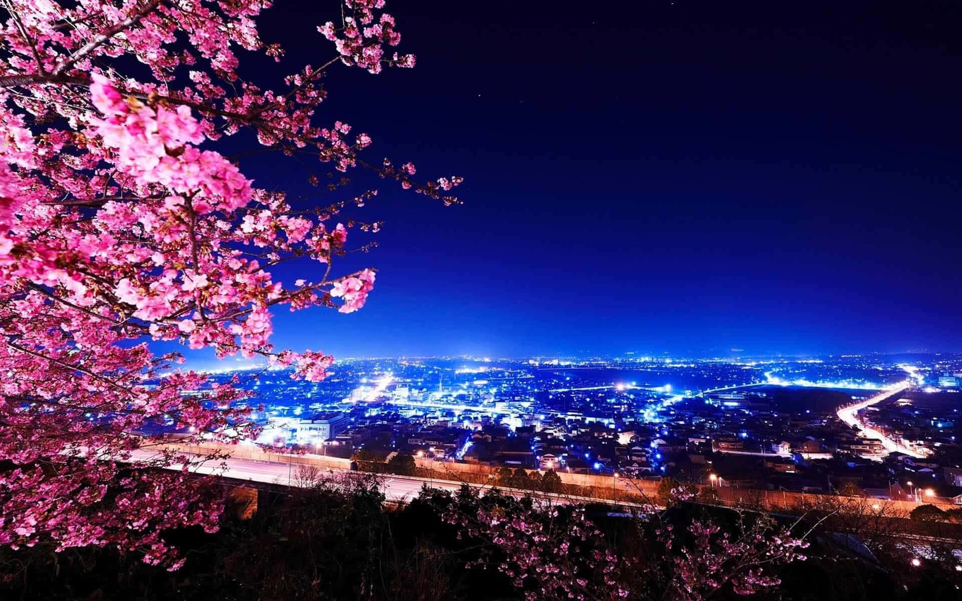 東京 桌布 壁紙 — 鮮豔的粉紅色櫻花框住了在深邃夜空下閃爍著藍色和白色燈光的廣闊城市景觀。