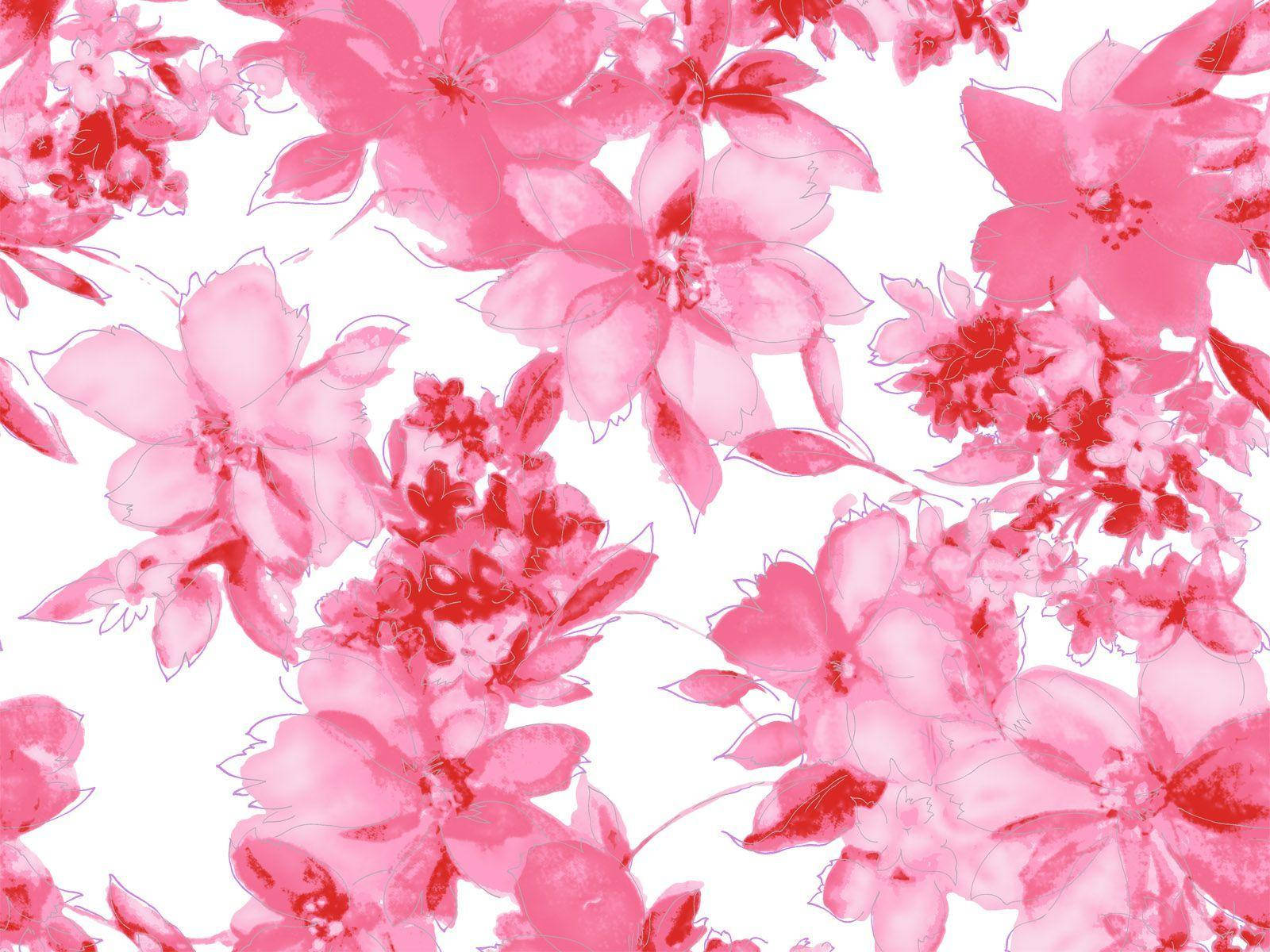 Pink Flower 桌布 壁紙 — 鮮豔的粉紅色水彩花朵在純白背景上以柔和半透明層次綻放。