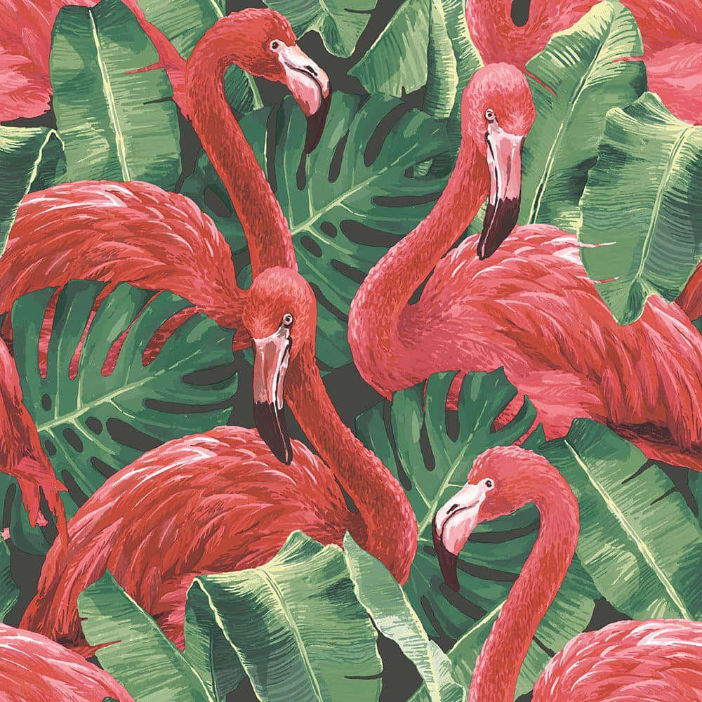Pink Flamingos 桌布 壁紙 — 鮮豔的粉紅色火烈鳥依偎在茂密的綠色熱帶樹葉中，形成密集的叢林圖案。