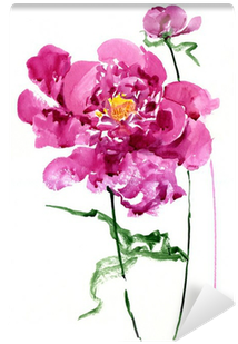 Peony 桌布 壁紙 — 鮮豔的粉紅色牡丹花，帶有黃色花心，以水彩風格在潔白背景上優雅綻放。