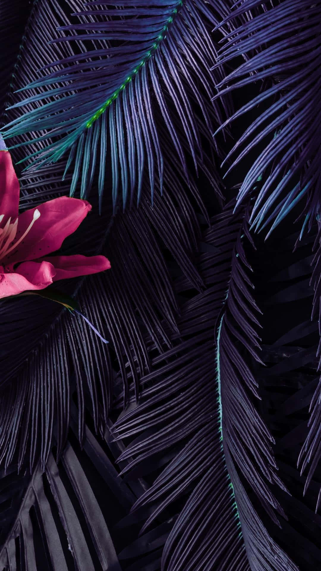 Aesthetic Palm Leaves 桌布 壁紙 — 鮮豔的粉紅色百合花在深紫色棕櫚葉的襯托下，帶有發光的綠色葉脈，營造出陰鬱的熱帶特寫。