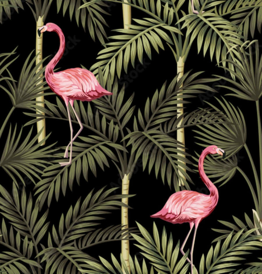 Pink Flamingos 桌布 壁紙 — 鮮豔的粉紅色紅鶴在深黑色背景襯托下，優雅地站立在茂密的綠色棕櫚葉之間。