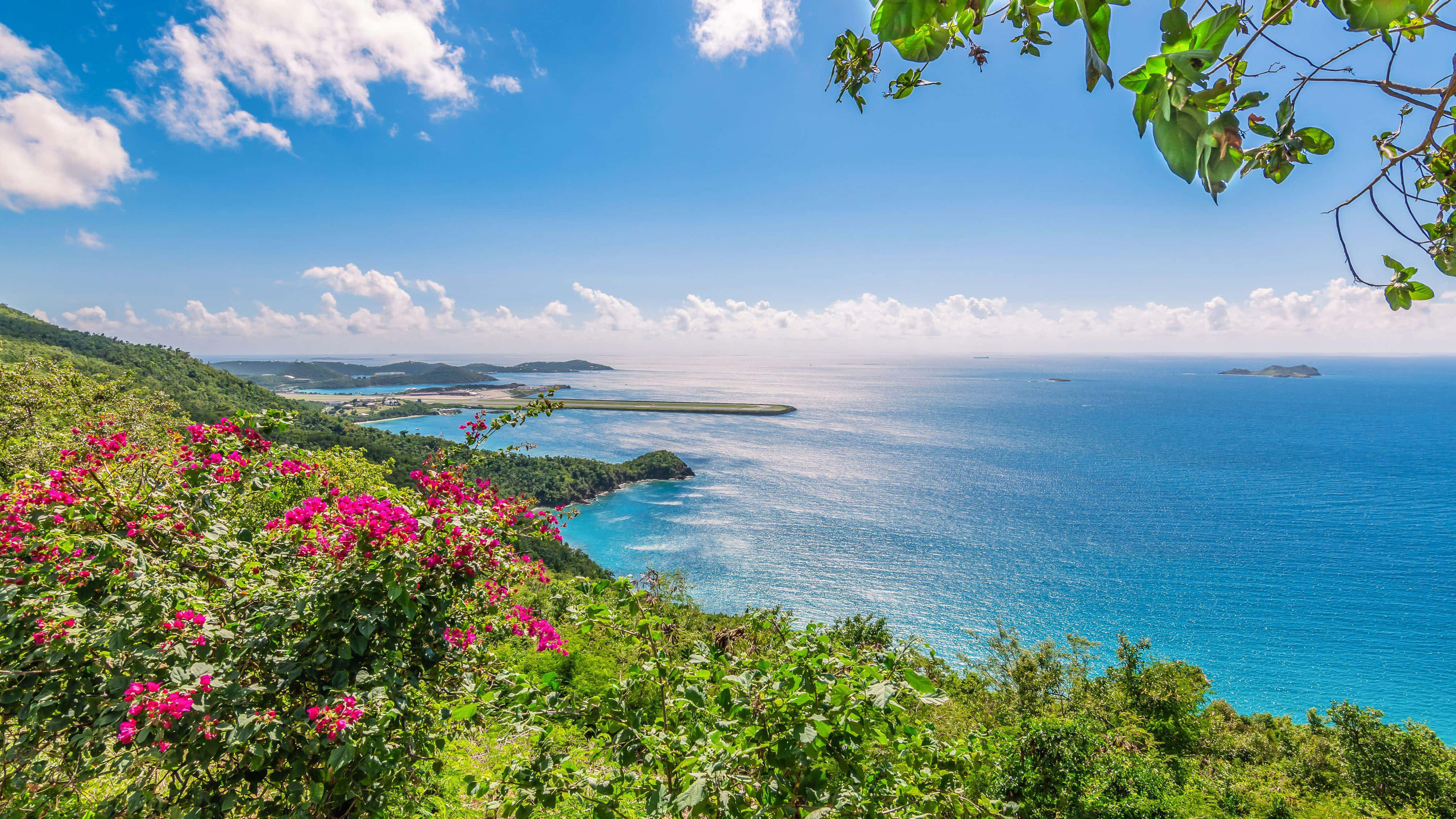 Beautiful Beach 桌布 壁紙 — 鮮豔的粉紅色花朵在茂密的綠色懸崖上盛開，俯瞰著碧綠的海洋，天空湛藍，白雲朵朵。