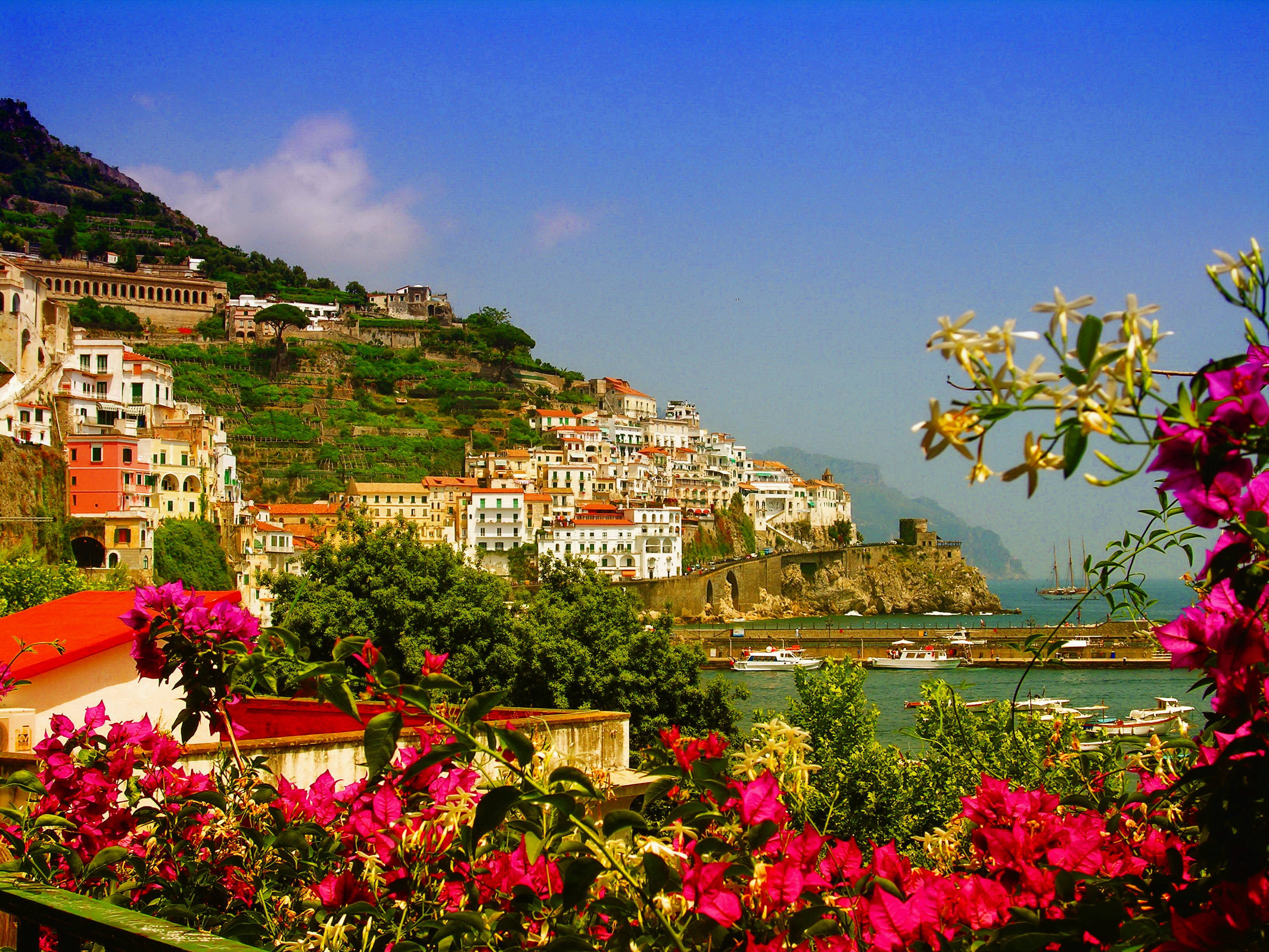 Amalfi Coast 桌布 壁紙 — 鮮豔的粉紅色花朵環繞著一個陽光明媚的海岸小鎮，該小鎮緊貼在陡峭的山坡上，俯瞰著平靜的藍色大海。