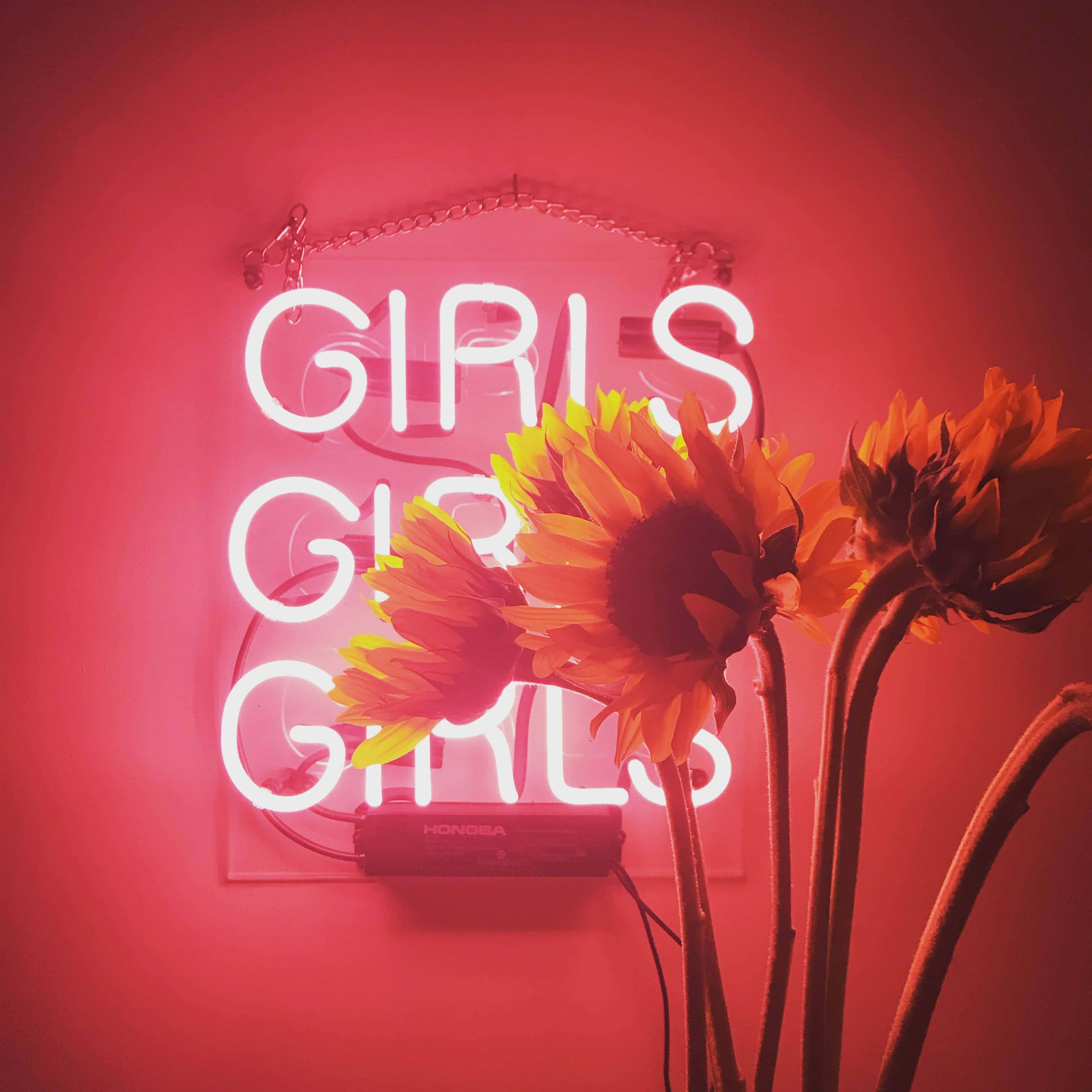 Sunflowers 桌布 壁紙 — 鮮豔的粉紅色霓虹燈牌寫著GIRLS，在飽和的紅色牆壁前，向日葵後方閃耀。