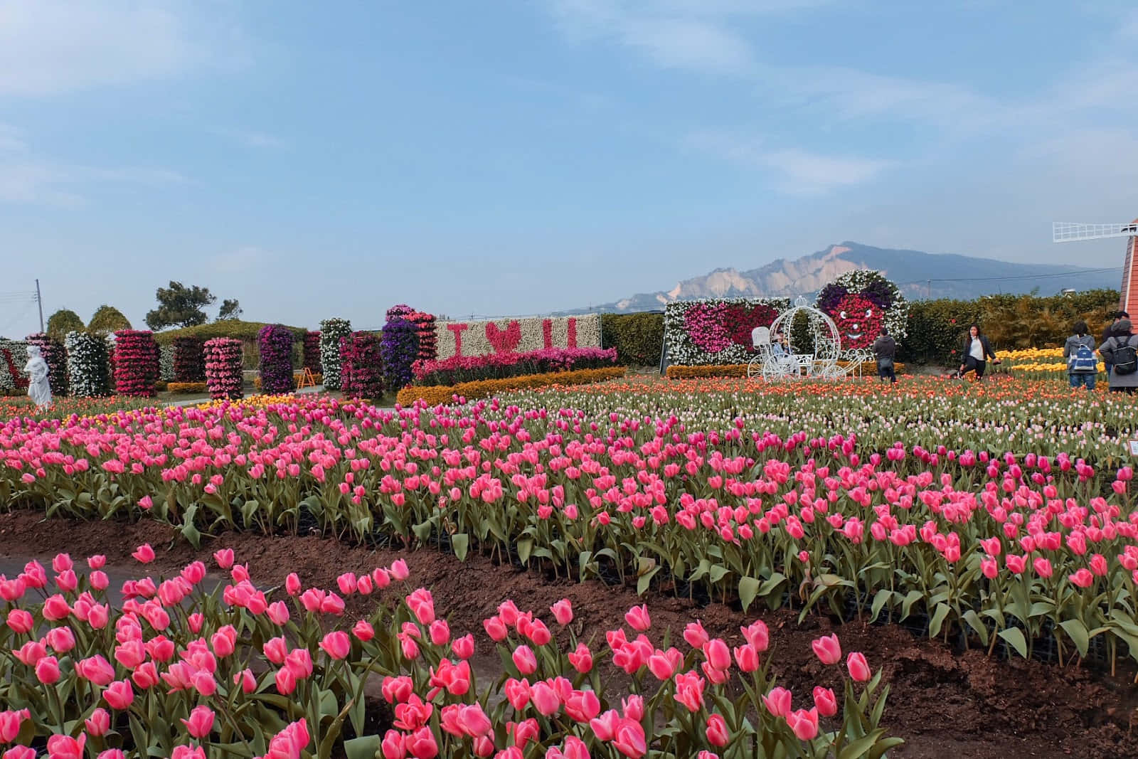 Beautiful Flower 桌布 壁紙 — 鮮豔的粉紅色鬱金香田向著花卉心形和「I LOVE U」標誌延伸，在清澈的藍天下。