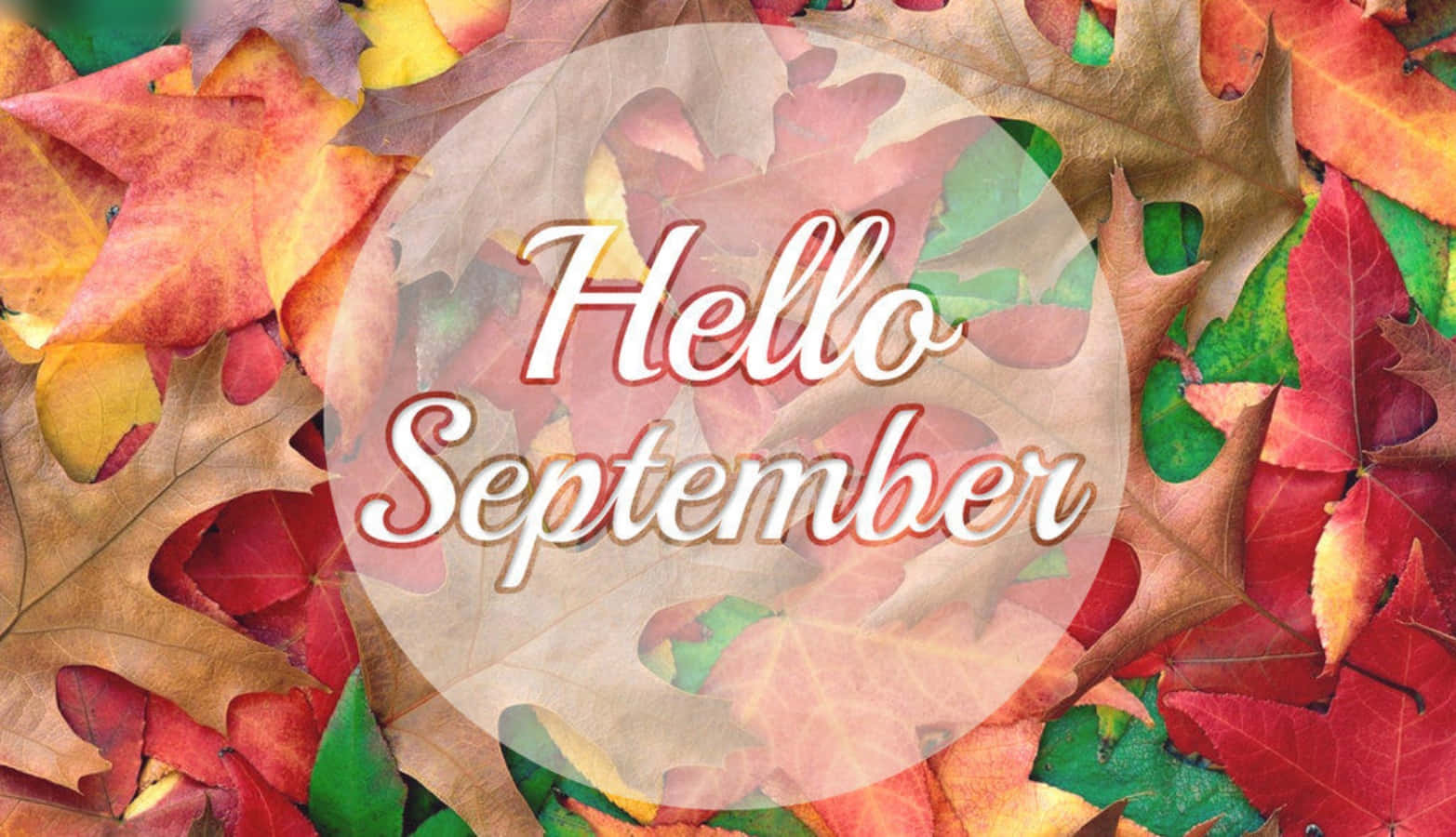 September 桌布 壁紙 — 鮮豔的紅、橙、綠色秋葉環繞一個半透明圓圈，圓內有草書 Hello September 文字。