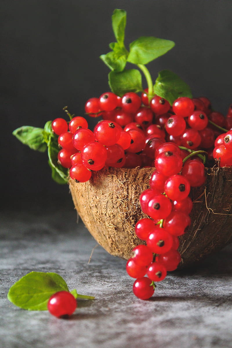 Food Photography 桌布 壁紙 — 鮮豔的紅加侖子從一個質樸的椰子殼碗中溢出，碗上點綴著新鮮的綠色薄荷葉，背景為深色。