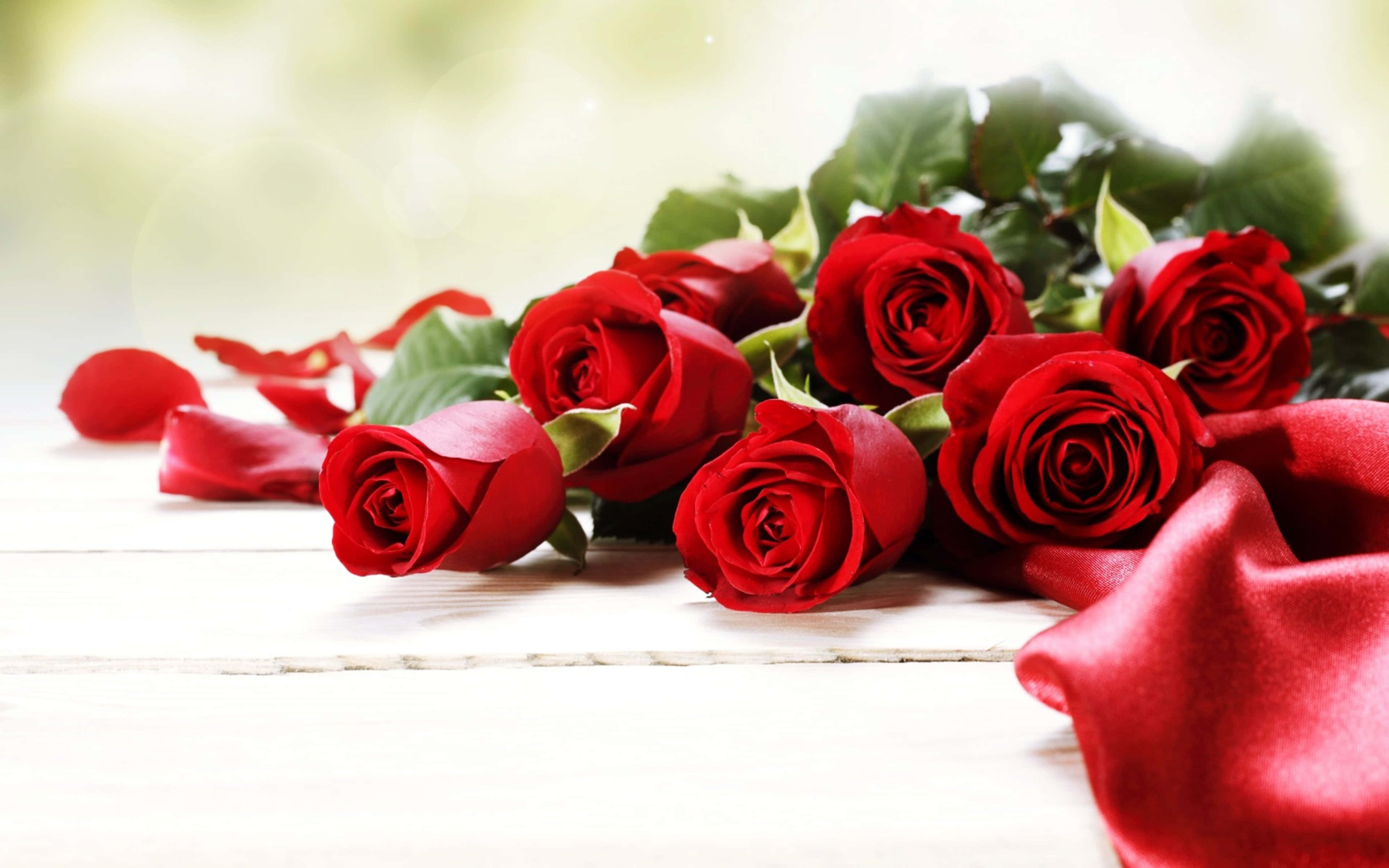 Valentines 桌布 壁紙 — 鮮豔的紅玫瑰，搭配茂盛的綠葉和散落的花瓣，靜置在白色木質表面上，旁邊是一塊紅色緞布。