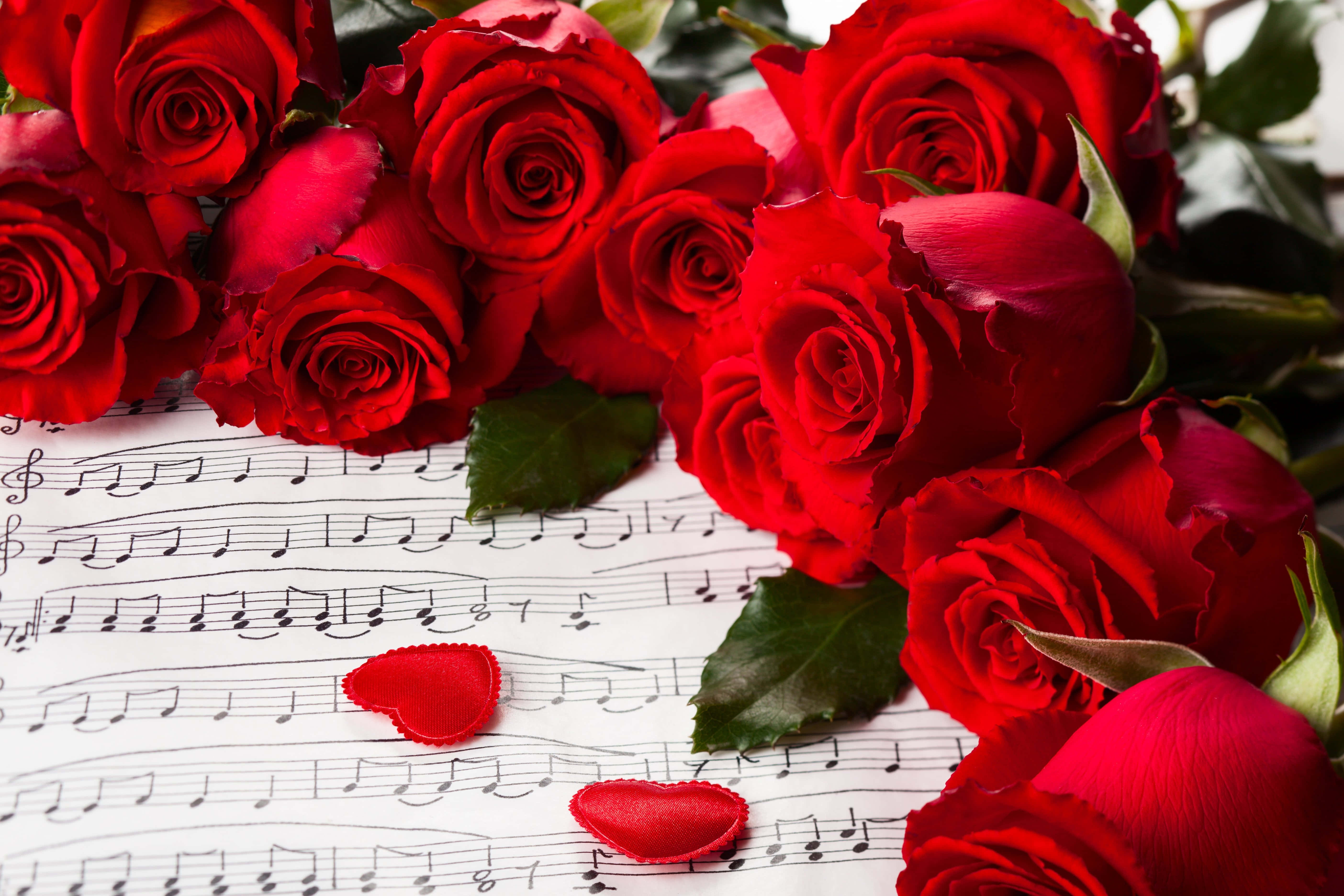 Valentines 桌布 壁紙 — 鮮豔的紅玫瑰和心形花瓣放在樂譜上，營造出浪漫的音樂主題。